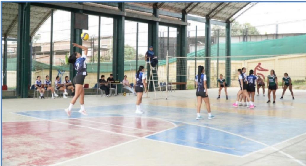 LOZA DEPORTIVA DE VÓLEY Y BASQUETBOL